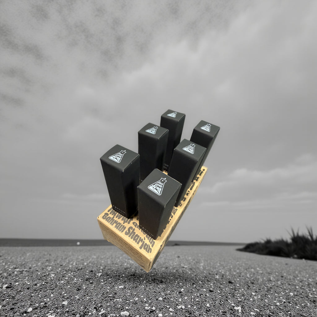 Mini Tester Box – Choose 6 Perfumes (2ml Each) - Dubai Parfem Shop EU | MSTV j.d.o.o.