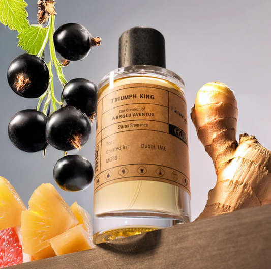 TRIUMPH KING - similar scent notes Absolu Aventus