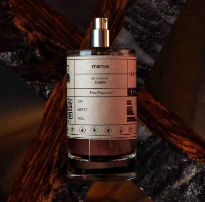 XTINCTION - COMETE CHANEL 100ML