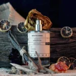 delina exclusif - desductive sunrise