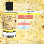 LILY MILANO inspired by Prada Paradoxe